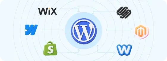 Leading Web Design, Web Development, and WordPress Company Website Migration Services