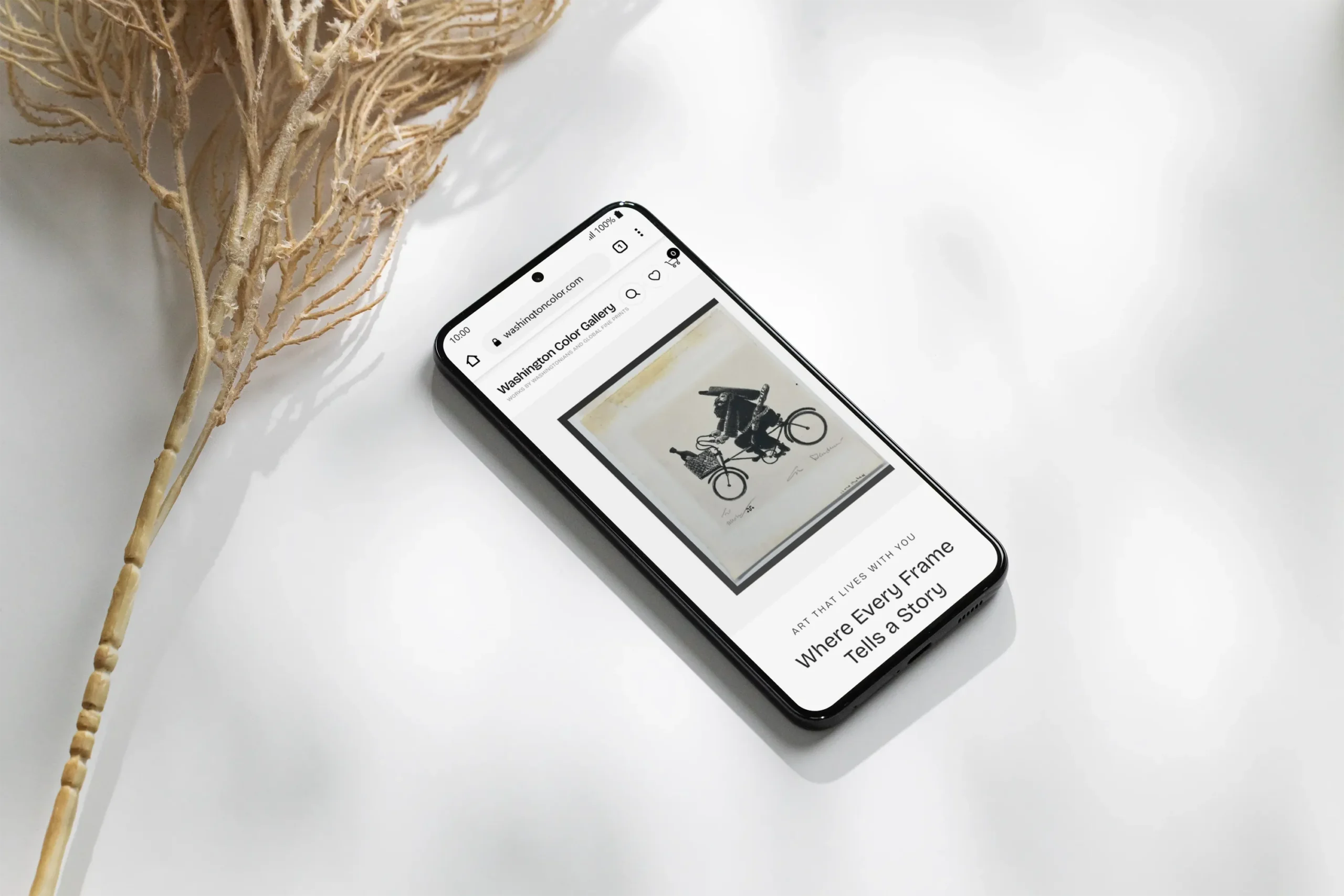 Washington Color Gallery Case Study – WordPress Redesign & Performance Optimization washingtone-second-slider-mobile-gallery-6